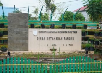 Cegah Kelangkaan Pangan di Pelosok dengan Lumbung Desa dan Mobil Pengendalian Inflasi