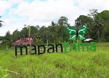 Bupati Kukar Tinjau Alat Tanam Modern, Dorong Efisiensi Pertanian dan Swasembada Pangan