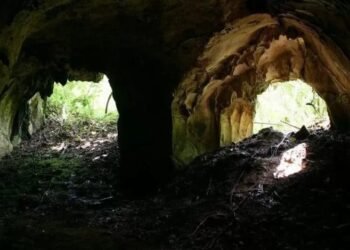 Bupati Kukar Tinjau Alat Tanam Modern, Dorong Efisiensi Pertanian dan Swasembada Pangan