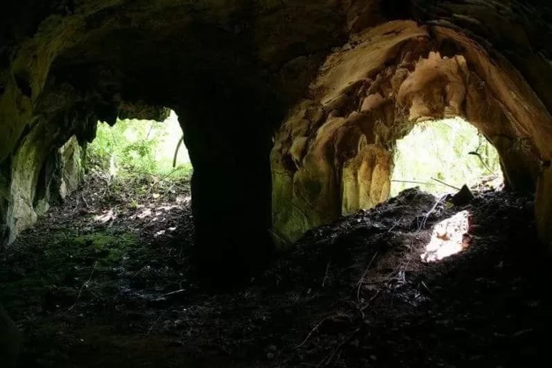 Bupati Kukar Tinjau Alat Tanam Modern, Dorong Efisiensi Pertanian dan Swasembada Pangan