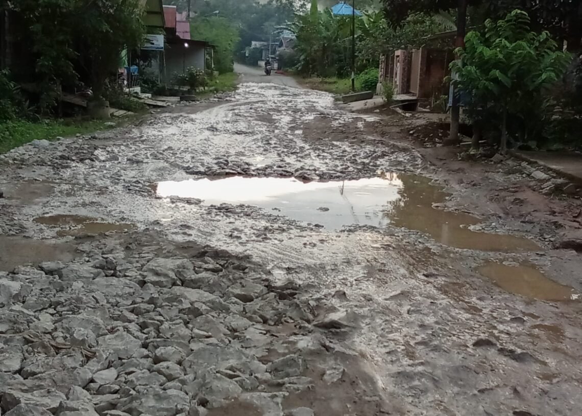 Desa Loa Lepu Kembangkan Pertanian Pepaya dan Hortikultura untuk Wujudkan Kemandirian Pangan