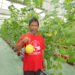 Smart Green House Binaan Pupuk Kaltim Mulai Tunjukkan Hasil Lewat Panen Perdana Melon