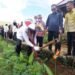 Kunjungan ke Kubar Buka Wawasan Baru, Mahyunadi Soroti Kunci Sukses Demplot Tumpang Sari