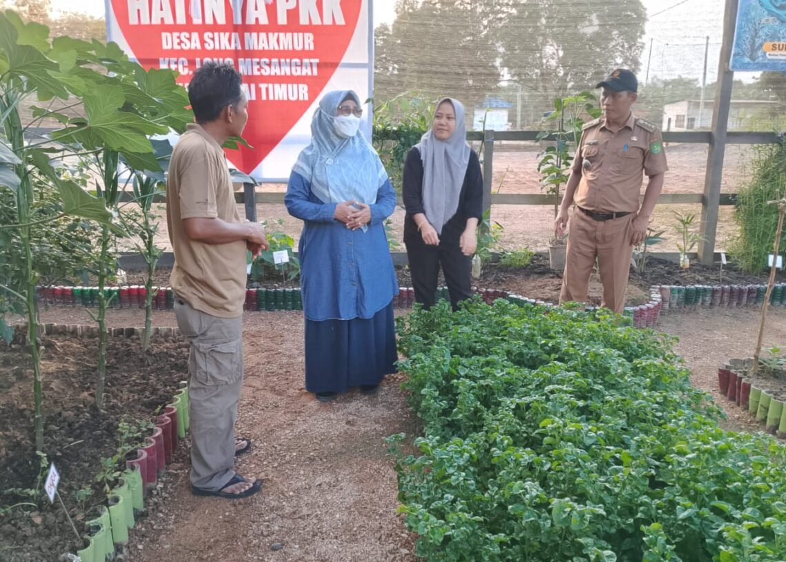 TOGA Jadi Jalan Meretas Emansipasi Ekonomi Perempuan di Long Mesangat