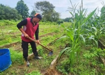 DKP3 Bontang Komitmen Lakukan Perawatan Berkelanjutan untuk Dukung Pengembangan Pertanian