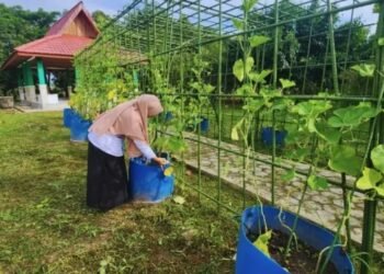 DKP3 Bontang Optimalkan Perawatan Tanaman untuk Jaga Produktivitas