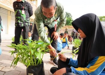 Panen Kangkung di SDN 009 Bontang Utara Hadirkan Keceriaan Serta Pembelajaran Lingkungan