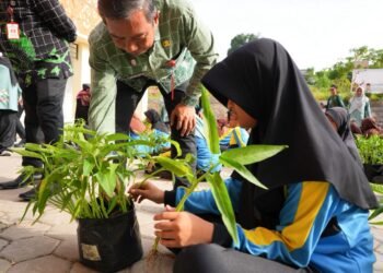 Panen Perdana Kangkung di SDN 009 Bontang Utara, Smartani Goes To School Berbuah Manis
