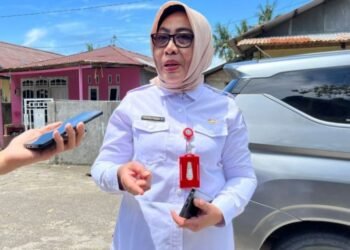 Toetoek: Peningkatan Kapasitas Nakes Kunci Keberhasilan Program Kesehatan