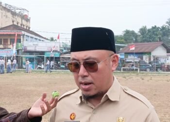 Drainase dan Badan Jalan Jadi Fokus Rehabilitasi Jalan Muso Bin Salim